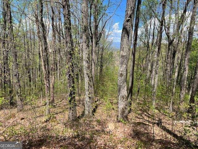 Lot 86 Rocky Knob Estate Young Harris GA 30582