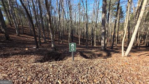 128R Red Oak Trail East Ellijay GA 30540