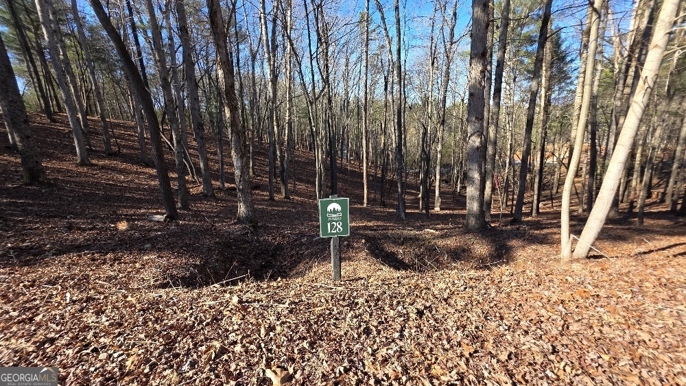 128R Red Oak Trail East Ellijay GA 30540