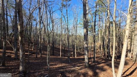 128R Red Oak Trail East Ellijay GA 30540