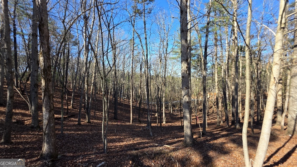 128R Red Oak Trail East Ellijay GA 30540