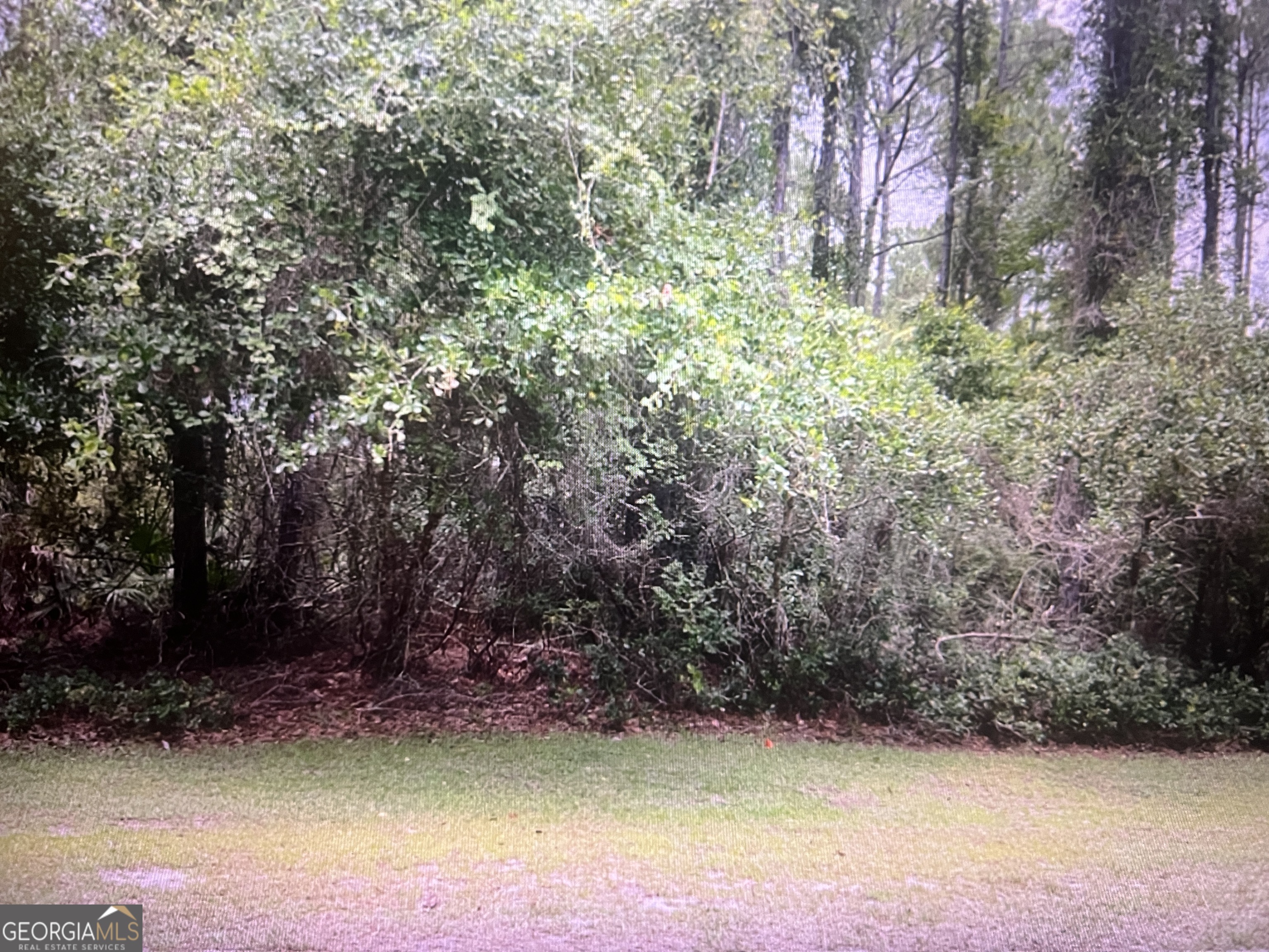 0 Tacatacoru Court St. Marys GA 31558