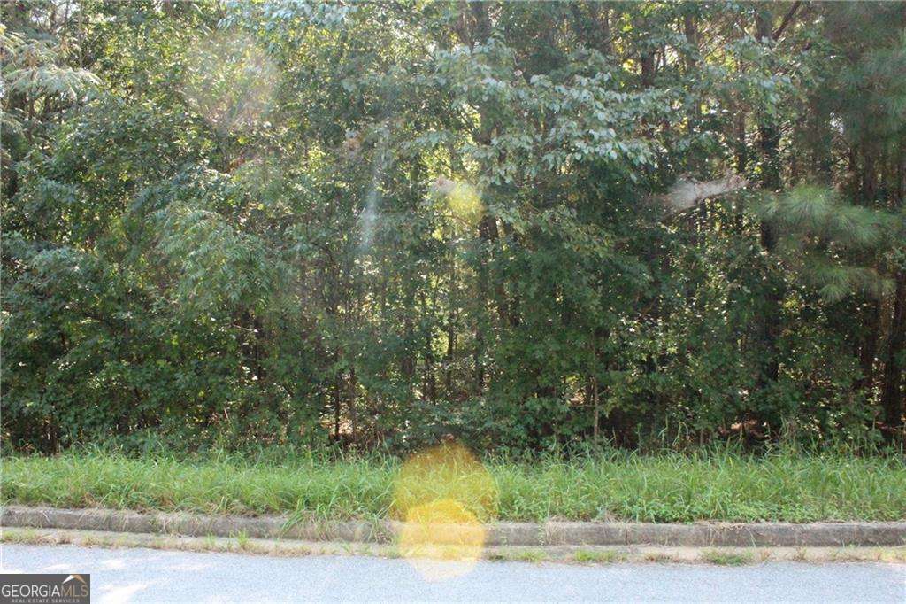 7718 Cheviot Drive Winston GA 30187