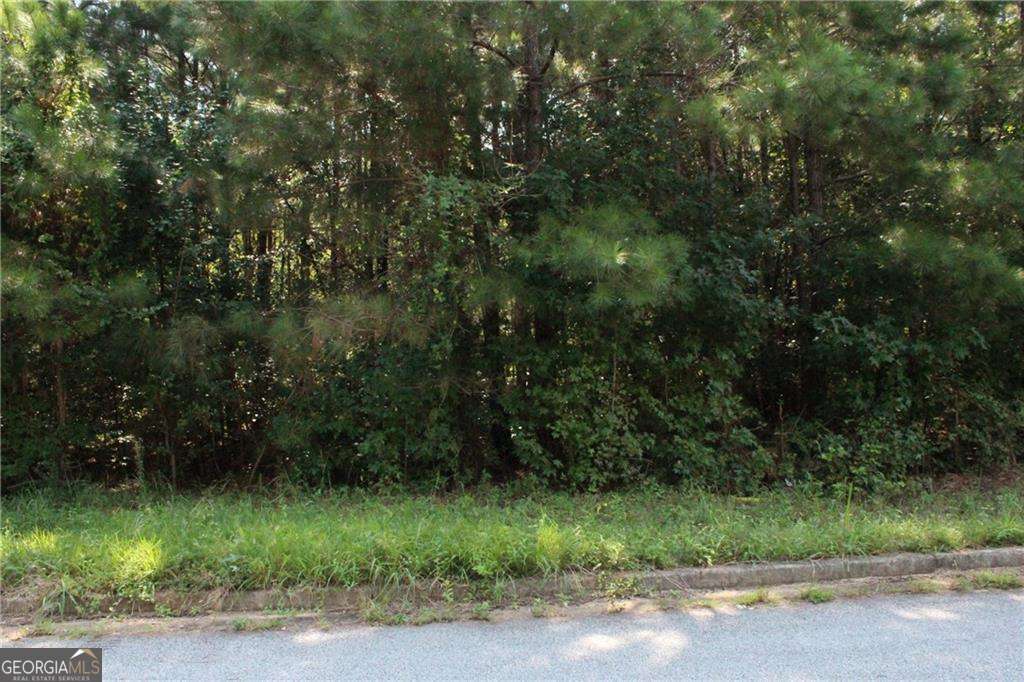7718 Cheviot Drive Winston GA 30187