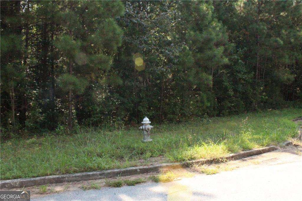 7718 Cheviot Drive Winston GA 30187