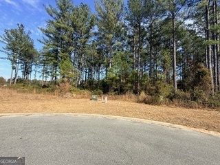 V/l 374 Beach Head Court Kingsland GA 31548