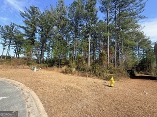 V/l 374 Beach Head Court Kingsland GA 31548