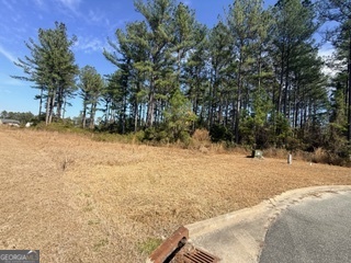 V/l 374 Beach Head Court Kingsland GA 31548