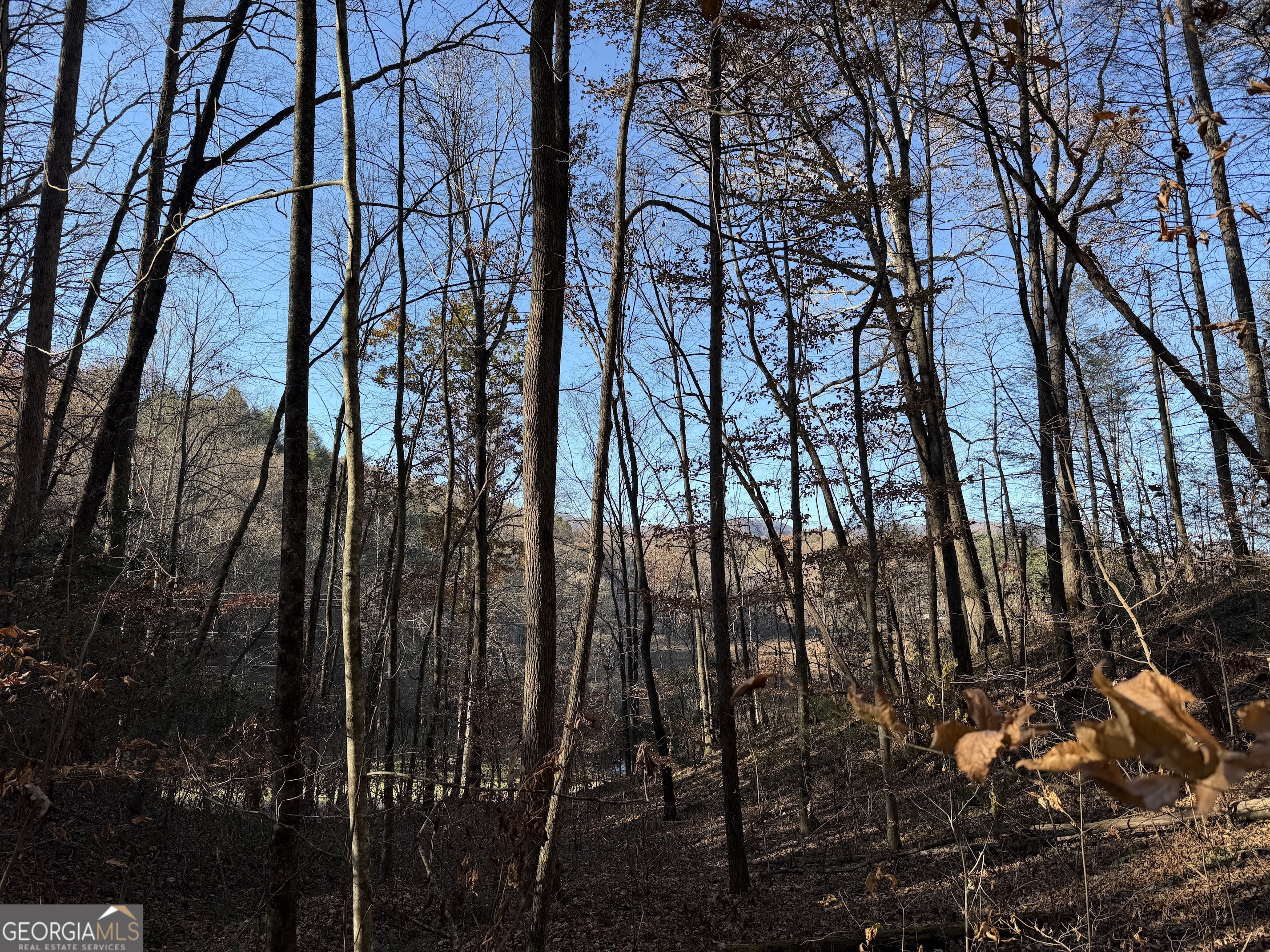 0 Whitepath Road Ellijay GA 30540