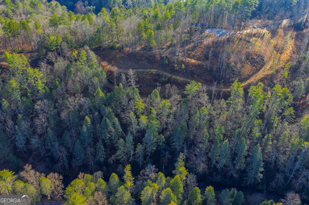 Tract B Hicks Ford Road Ellijay GA 30540
