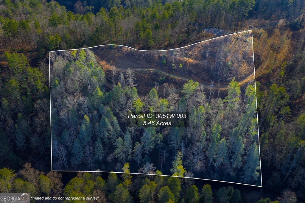 Tract B Hicks Ford Road Ellijay GA 30540