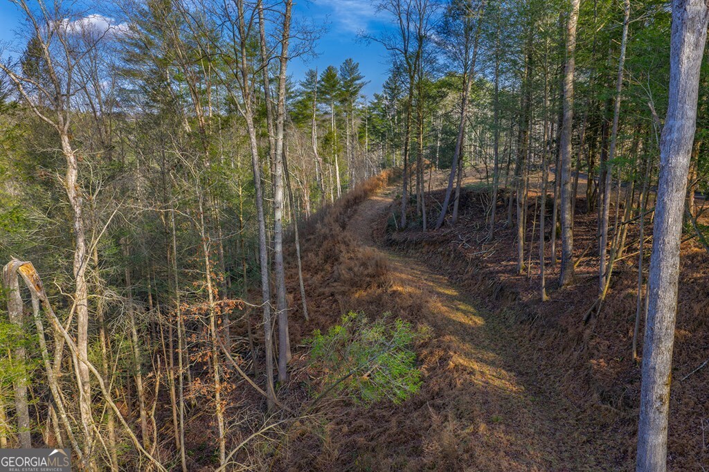 Tract B Hicks Ford Road Ellijay GA 30540