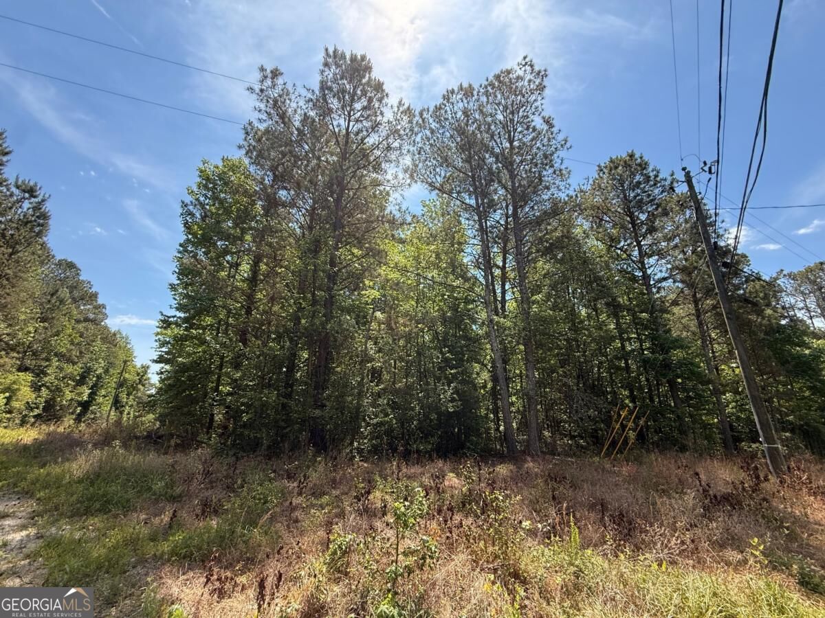 467 N Raburn Road Bremen GA 30110