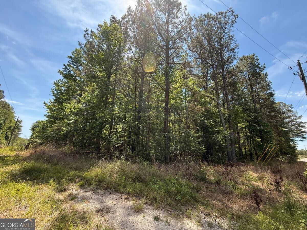 467 N Raburn Road Bremen GA 30110