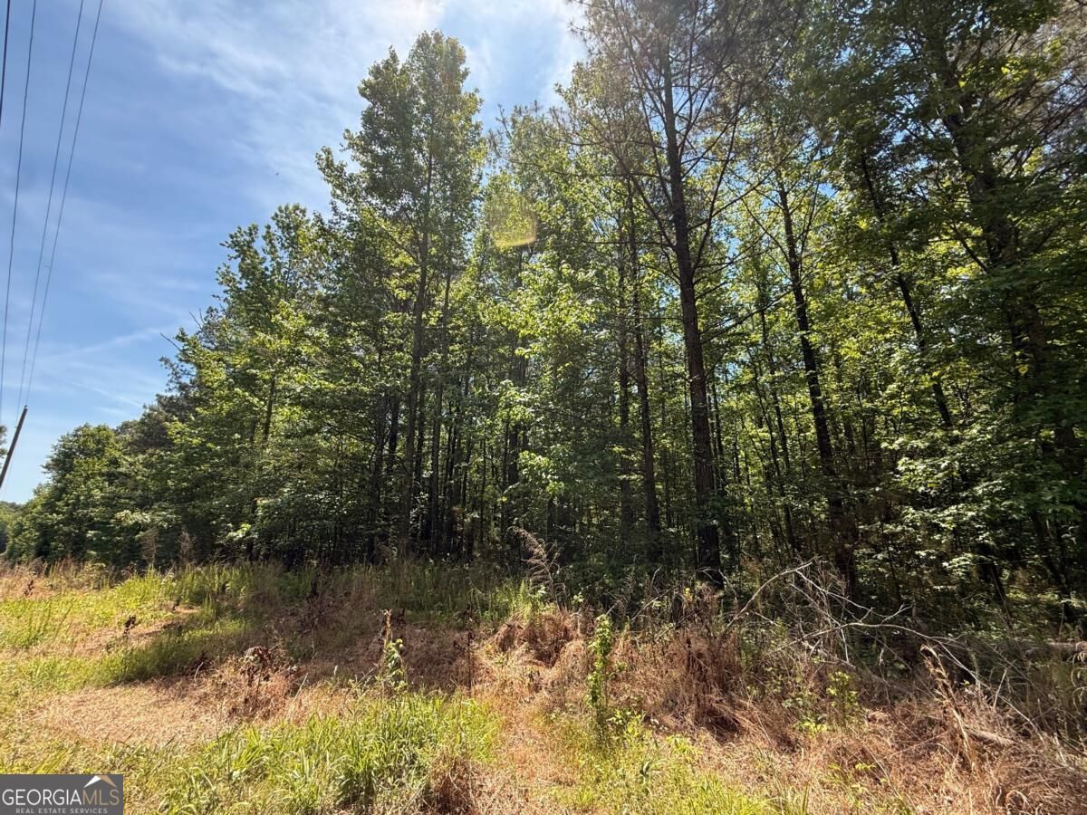 467 N Raburn Road Bremen GA 30110