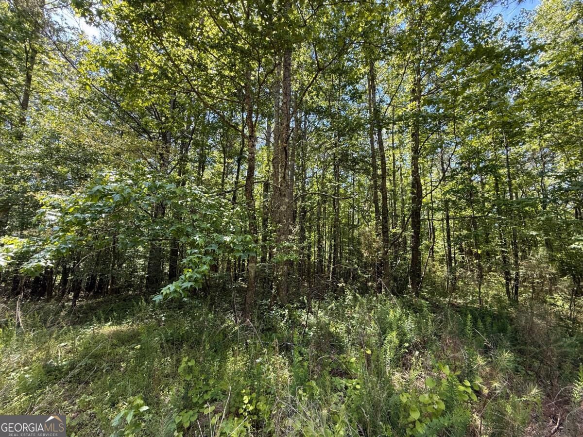 467 N Raburn Road Bremen GA 30110