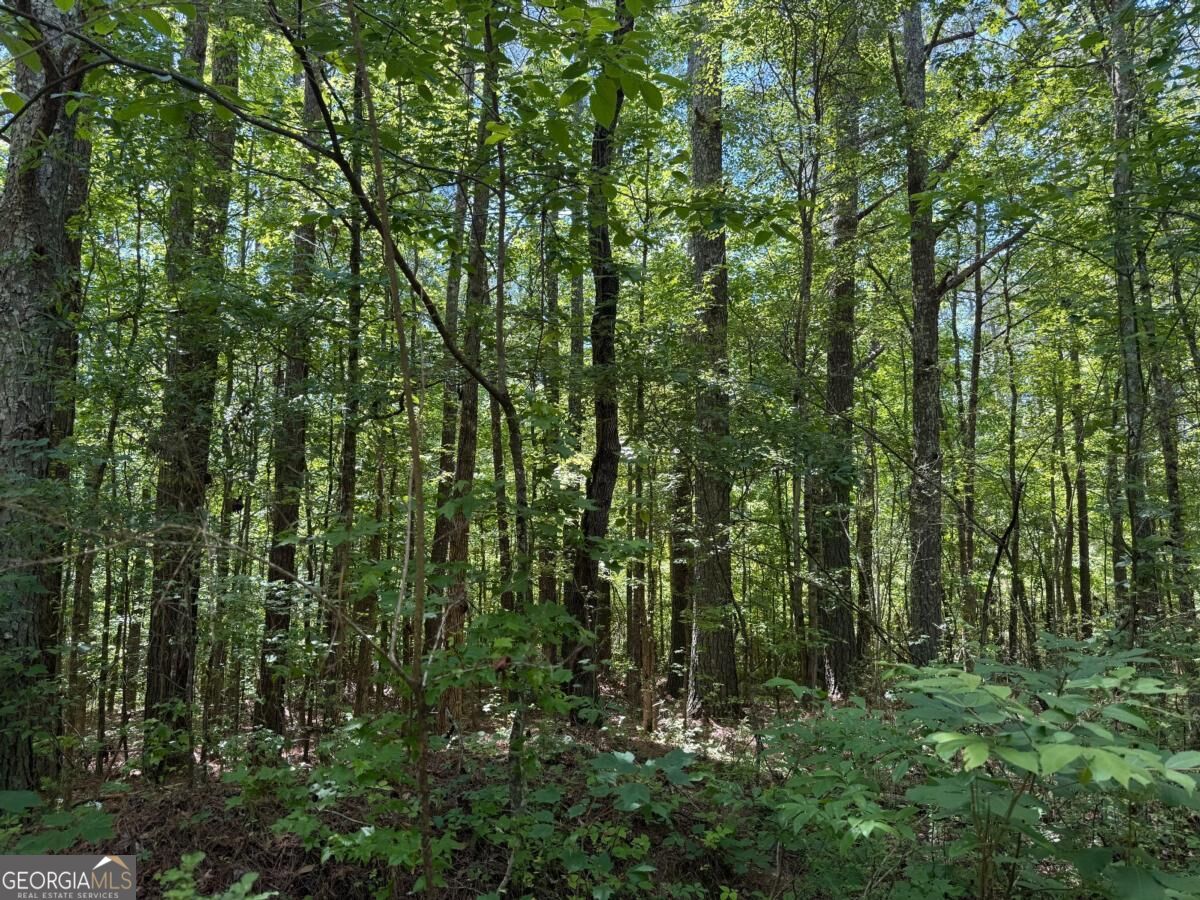 467 N Raburn Road Bremen GA 30110