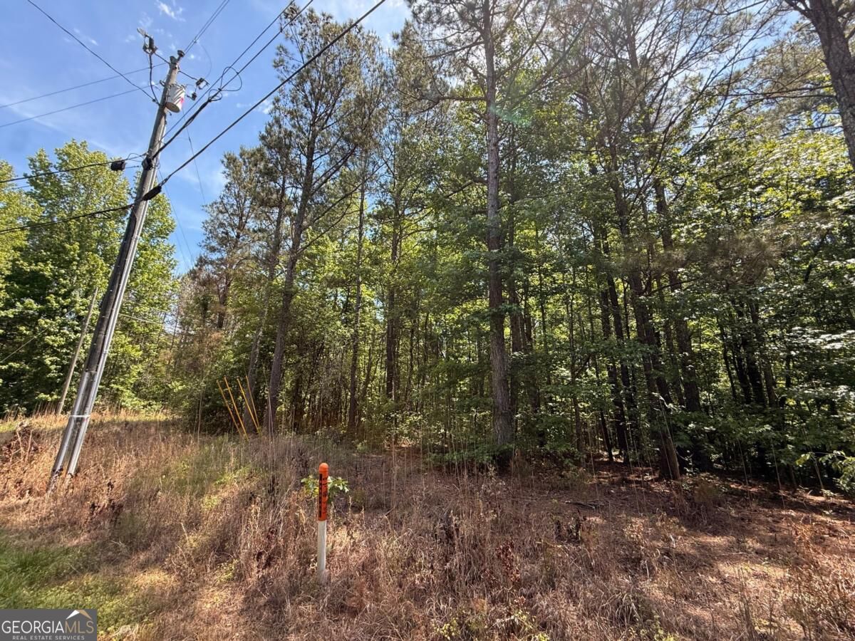 467 N Raburn Road Bremen GA 30110