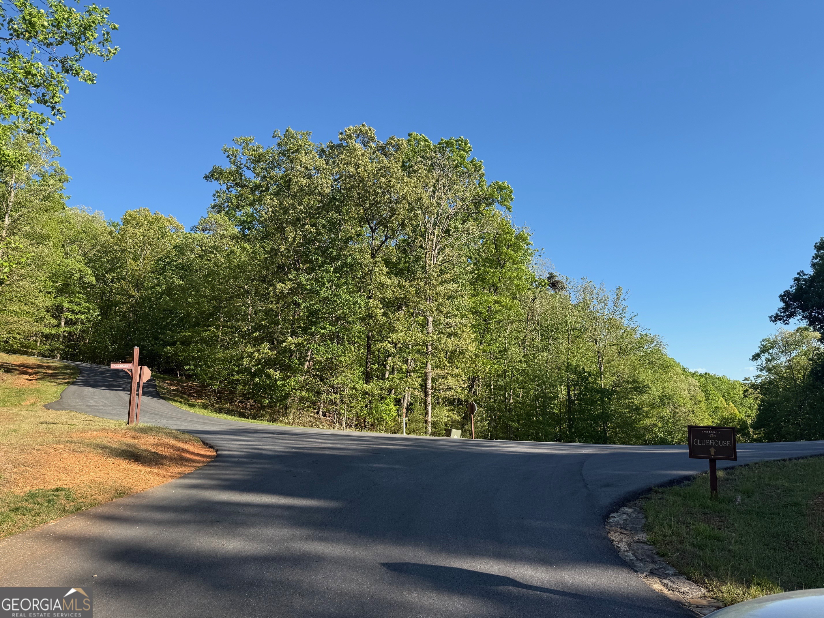 0 Mountainside Drive Cleveland GA 30528