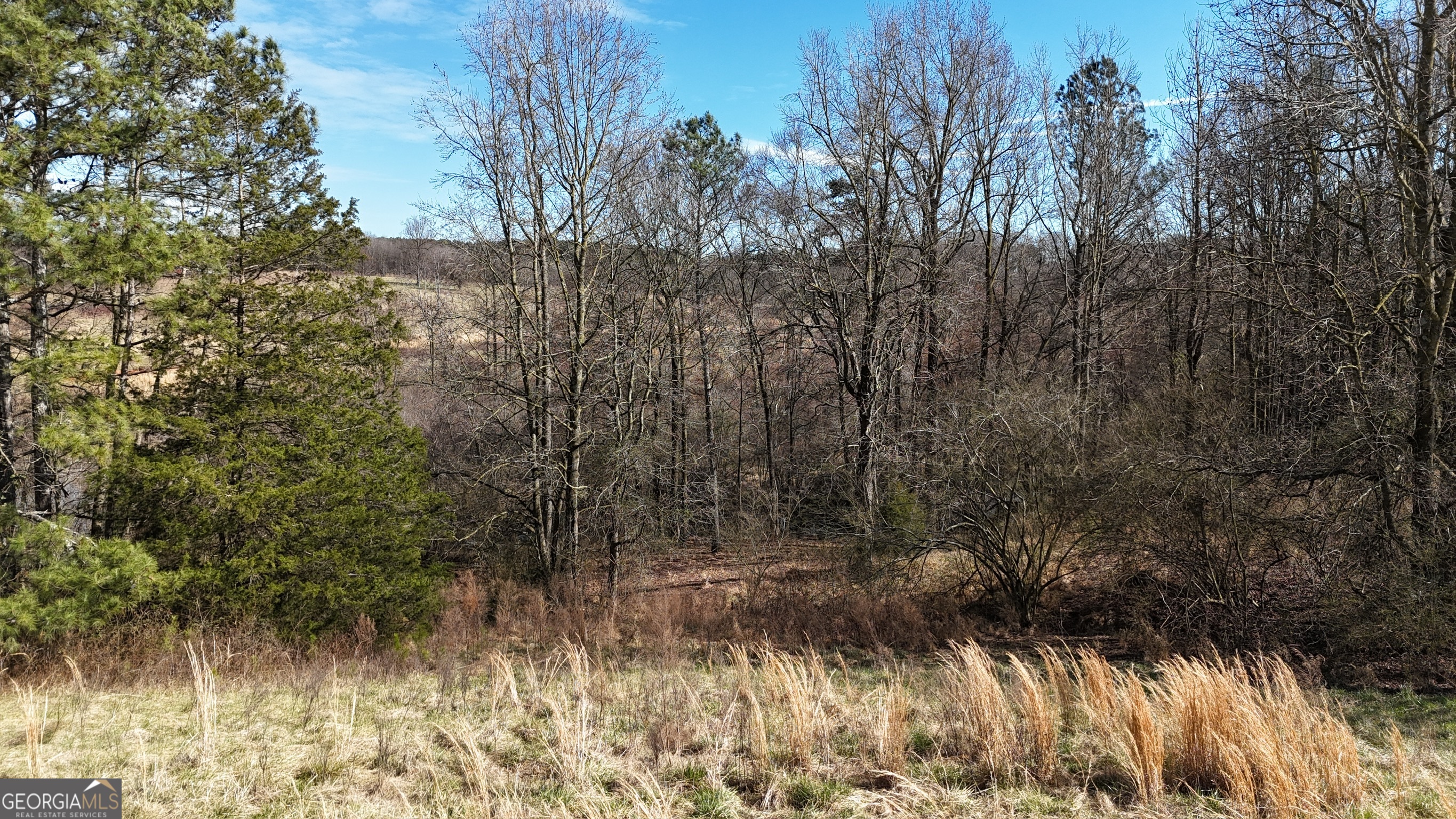 21 Jess Lane Commerce GA 30530