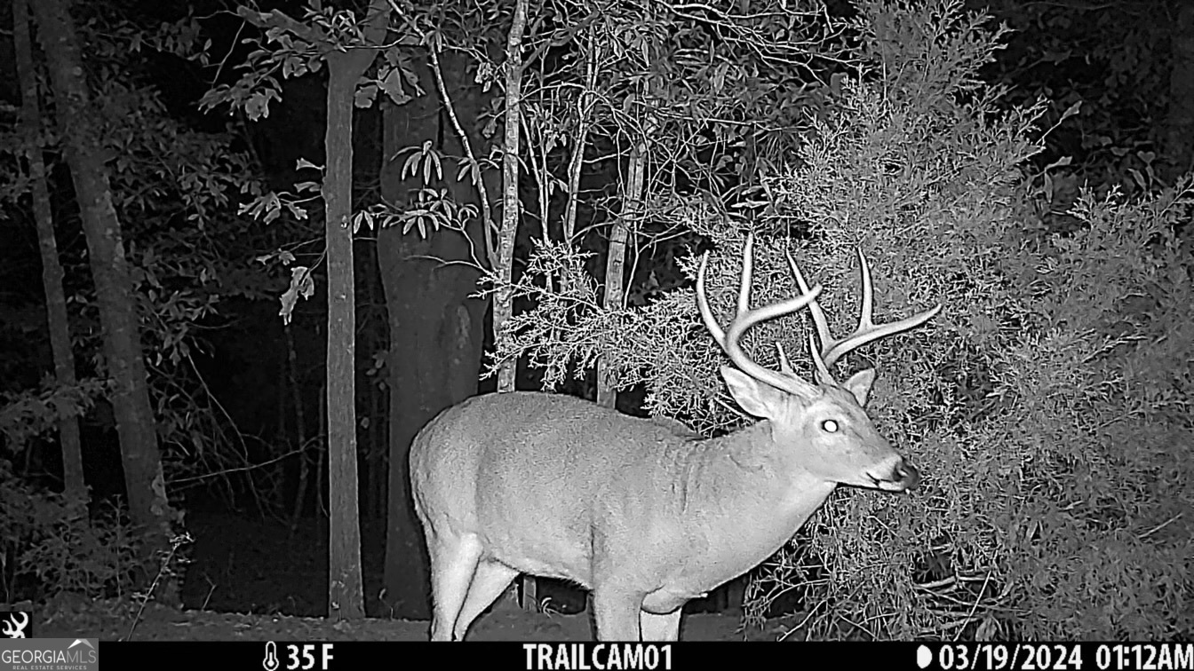 21 Jess Lane Commerce GA 30530