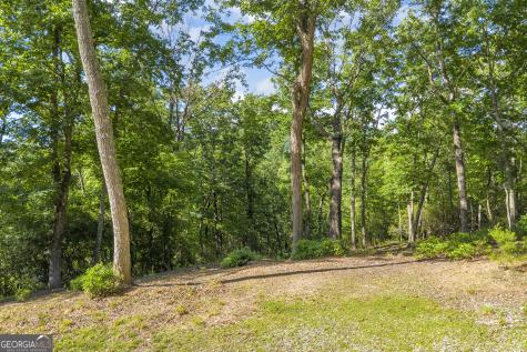 0 Lake Watch Point Cleveland GA 30528