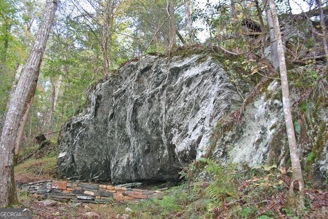191+/- Acres Off Highway 136 Highway Dawsonville GA 30534