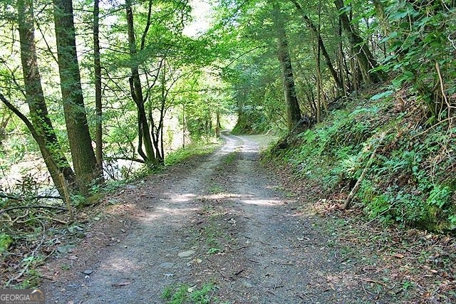 191+/- Acres Off Highway 136 Highway Dawsonville GA 30534