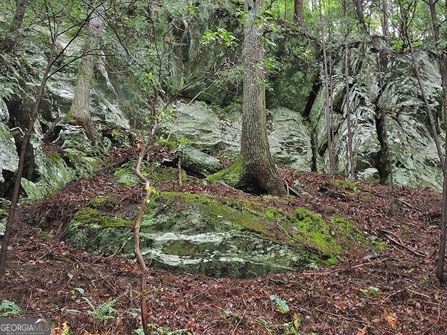 191+/- Acres Off Highway 136 Highway Dawsonville GA 30534