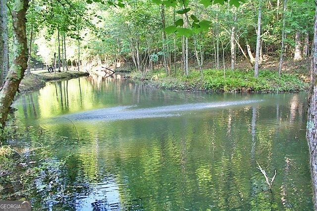 191+/- Acres Off Highway 136 Highway Dawsonville GA 30534