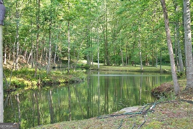 191+/- Acres Off Highway 136 Highway Dawsonville GA 30534