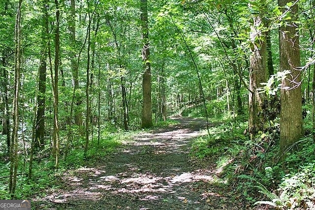 191+/- Acres Off Highway 136 Highway Dawsonville GA 30534