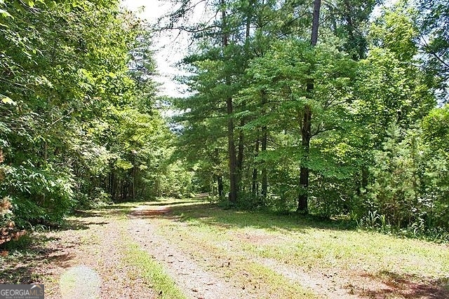 191+/- Acres Off Highway 136 Highway Dawsonville GA 30534