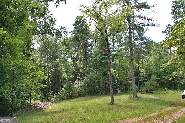 191+/- Acres Off Highway 136 Highway Dawsonville GA 30534
