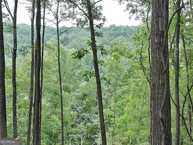 191+/- Acres Off Highway 136 Highway Dawsonville GA 30534