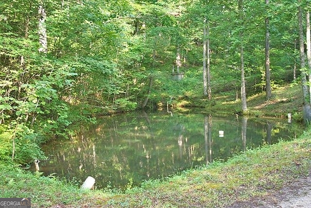 191+/- Acres Off Highway 136 Highway Dawsonville GA 30534