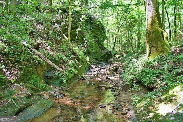 191+/- Acres Off Highway 136 Highway Dawsonville GA 30534