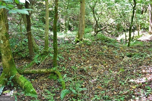 191+/- Acres Off Highway 136 Highway Dawsonville GA 30534