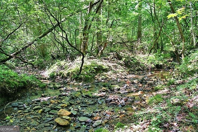 191+/- Acres Off Highway 136 Highway Dawsonville GA 30534