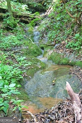 191+/- Acres Off Highway 136 Highway Dawsonville GA 30534