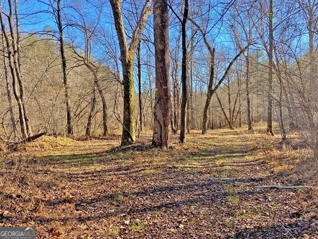 191+/- Acres Off Highway 136 Highway Dawsonville GA 30534