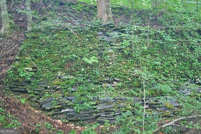 191+/- Acres Off Highway 136 Highway Dawsonville GA 30534
