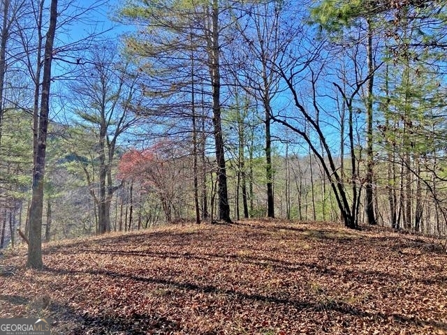 191+/- Acres Off Highway 136 Highway Dawsonville GA 30534