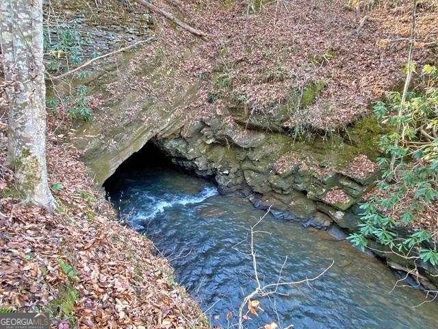 191+/- Acres Off Highway 136 Highway Dawsonville GA 30534