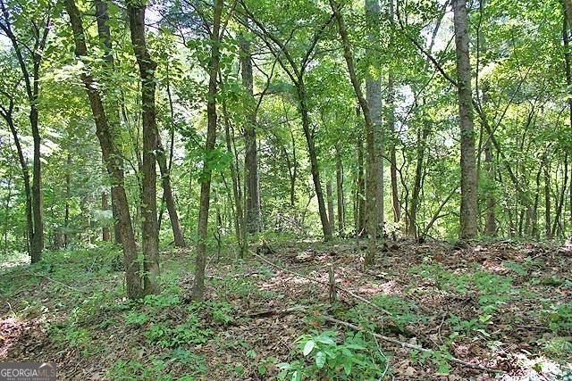 191+/- Acres Off Highway 136 Highway Dawsonville GA 30534