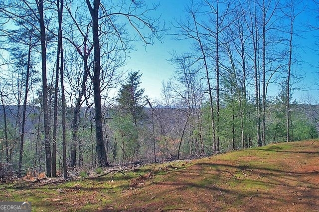 191+/- Acres Off Highway 136 Highway Dawsonville GA 30534