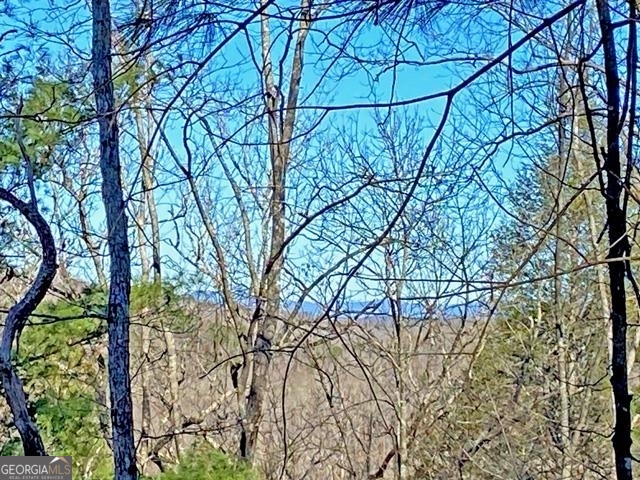 191+/- Acres Off Highway 136 Highway Dawsonville GA 30534