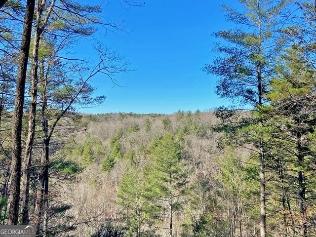 191+/- Acres Off Highway 136 Highway Dawsonville GA 30534