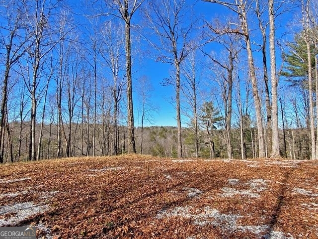 191+/- Acres Off Highway 136 Highway Dawsonville GA 30534