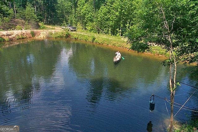 191+/- Acres Off Highway 136 Highway Dawsonville GA 30534